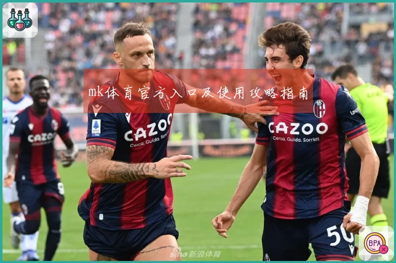 mk体育官方入口及使用攻略指南