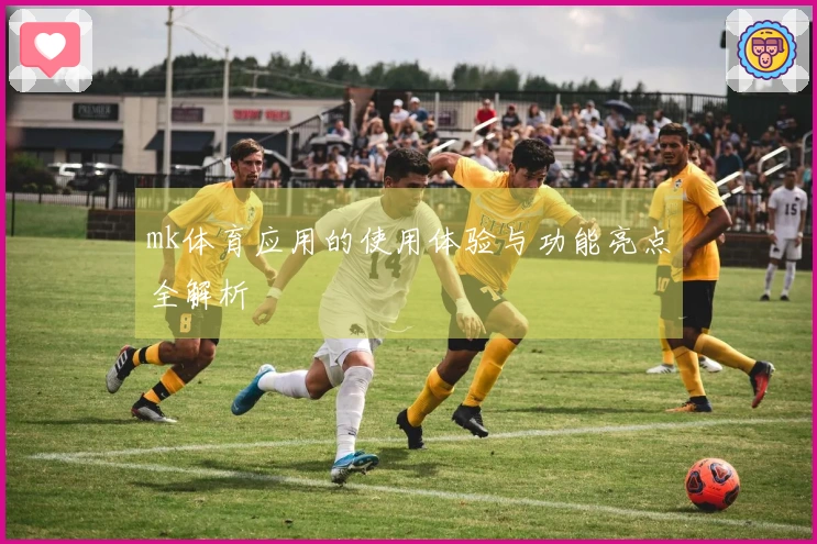 mk体育应用的使用体验与功能亮点全解析