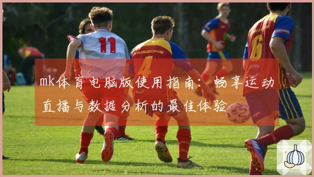 mk体育电脑版使用指南：畅享运动直播与数据分析的最佳体验