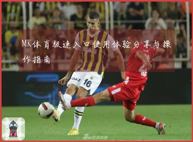 MK体育极速入口使用体验分享与操作指南