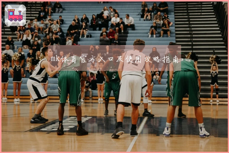 mk体育官方入口及使用攻略指南